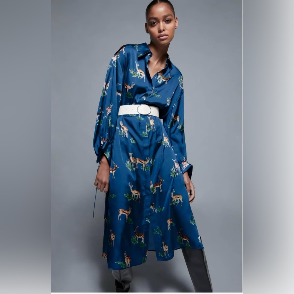 Zara Blue Printed Long Sleeve Midi Shirt Dress - Picture 2 of 8